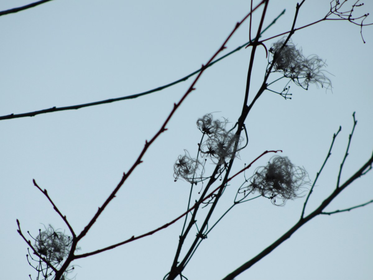 Learning from Black Lives&nbsp;Matter