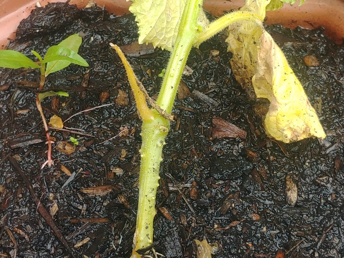 When things are a bit harder than&nbsp;usual